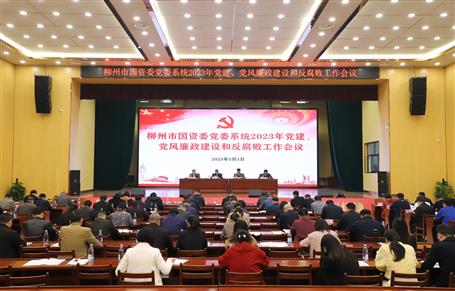 柳州市國(guó)資委黨委系列會(huì)議在冶建公司禮堂召開(kāi)